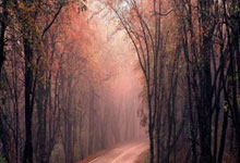 九游体育直播-奥萨苏纳客场折戟！保级警报拉响，纳瓦拉风暴眼中的生死时速