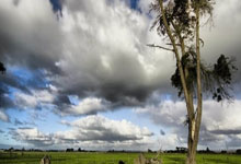 九游体育直播-奥萨苏纳客场折戟！保级警报拉响，纳瓦拉风暴眼中的生死时速