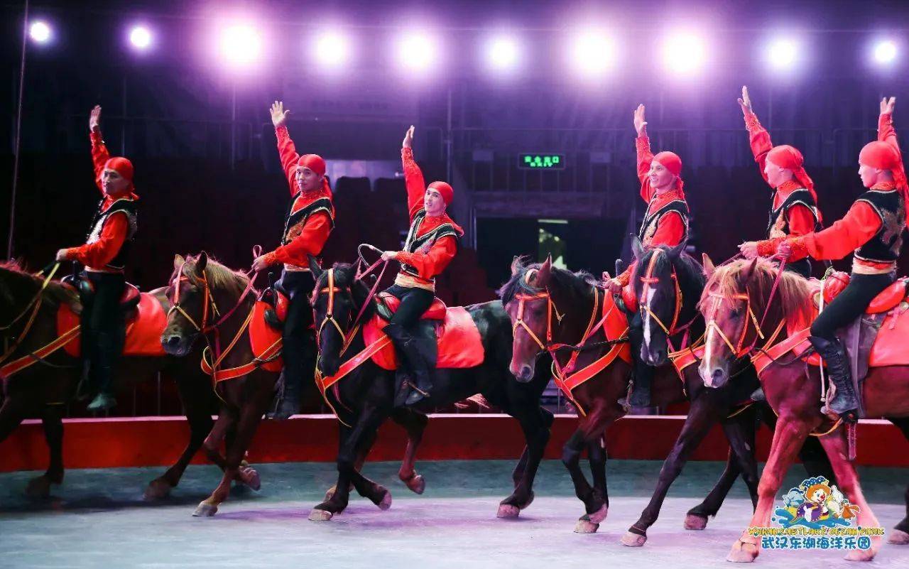 惊心动魄!马术比赛场上骑士与马的默契合作 惊心动魄!马术比赛场上骑士与马的默契合作