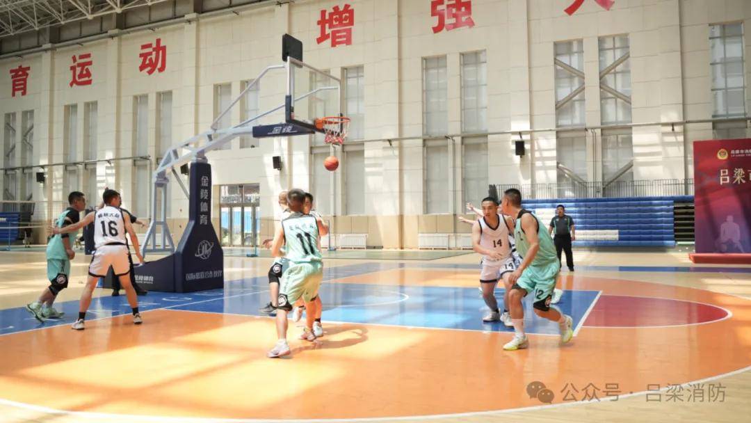 包含本土篮球联赛高能对抗引发热烈讨论的词条