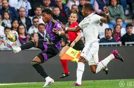 雷阵风暴！巴拉多利德猛虎逞凶的简单介绍